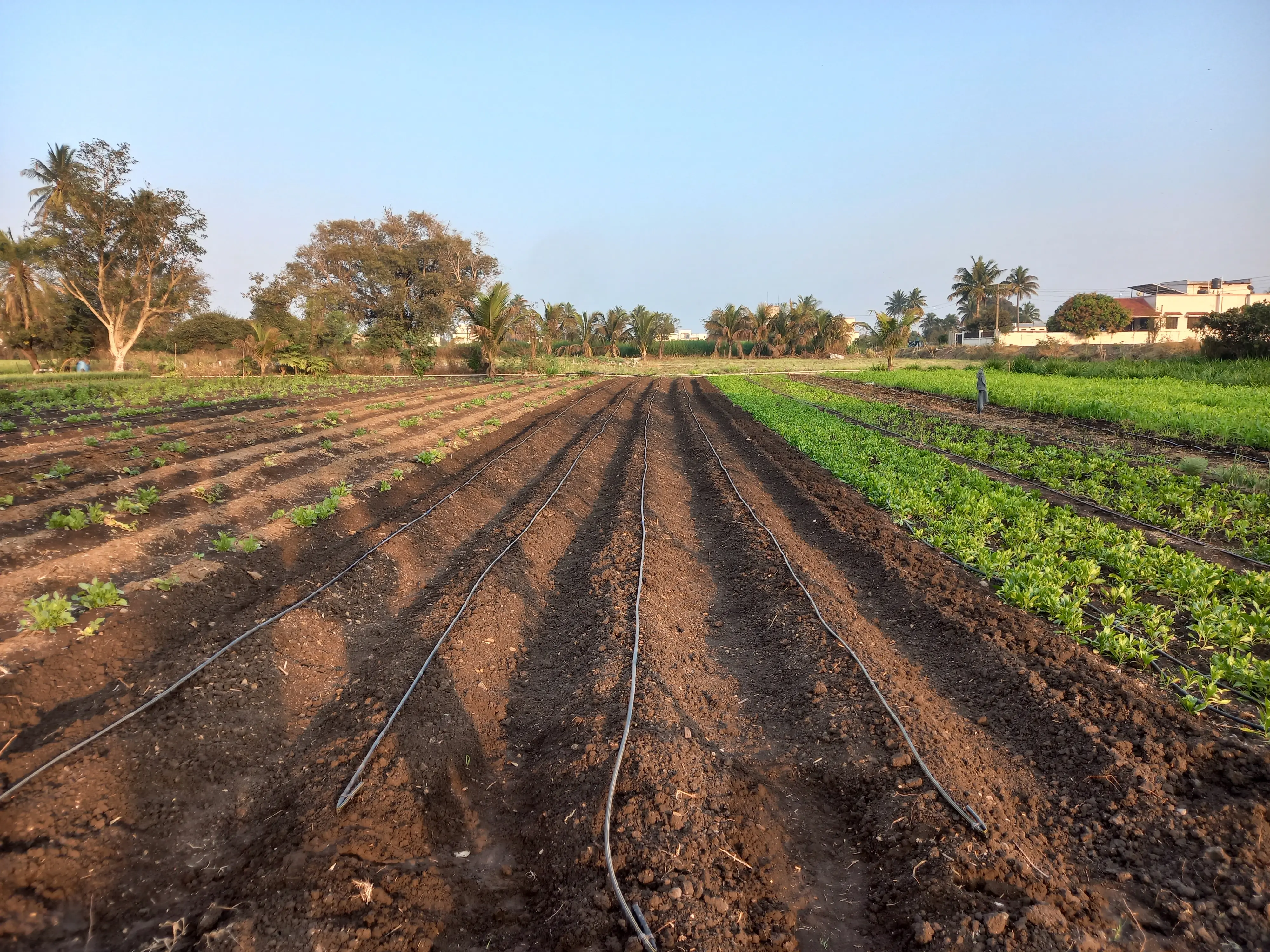 Ek Din Ka Farmer & Industrial Visit Facilitations